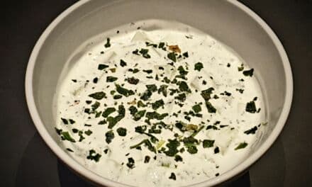 Recette Maison de Tzatziki revisité au St Môret