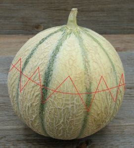 Melon au porto