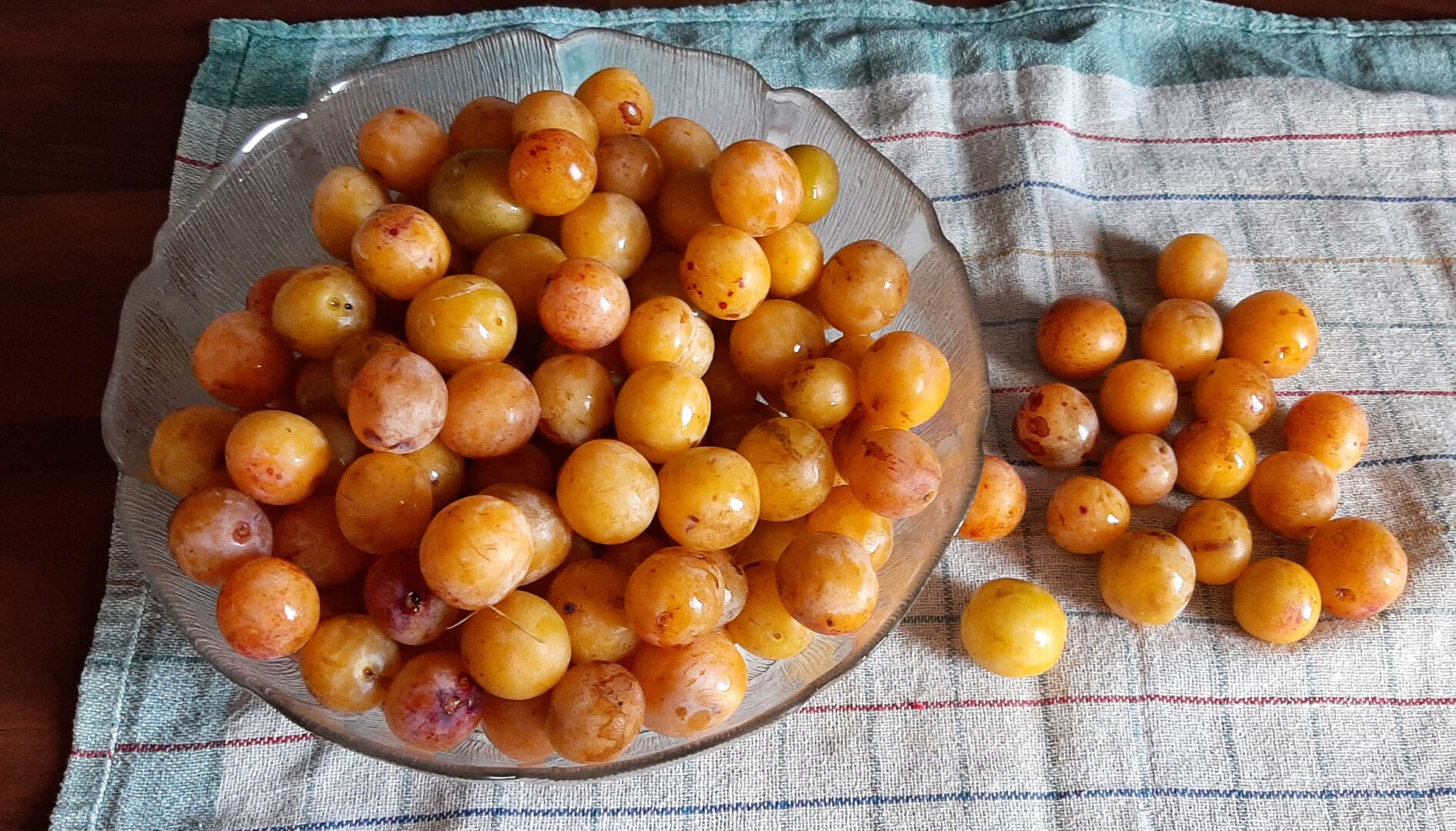 Comment congeler des mirabelles ? Voici la bonne méthode inratable
