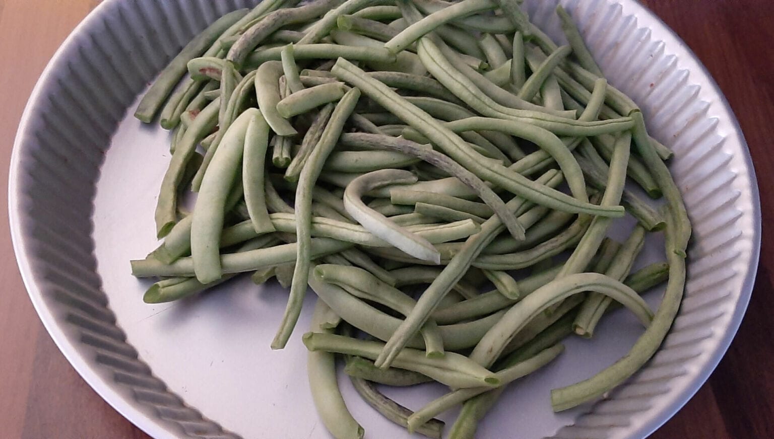 Comment congeler des haricots verts frais du jardin ? La bonne méthode