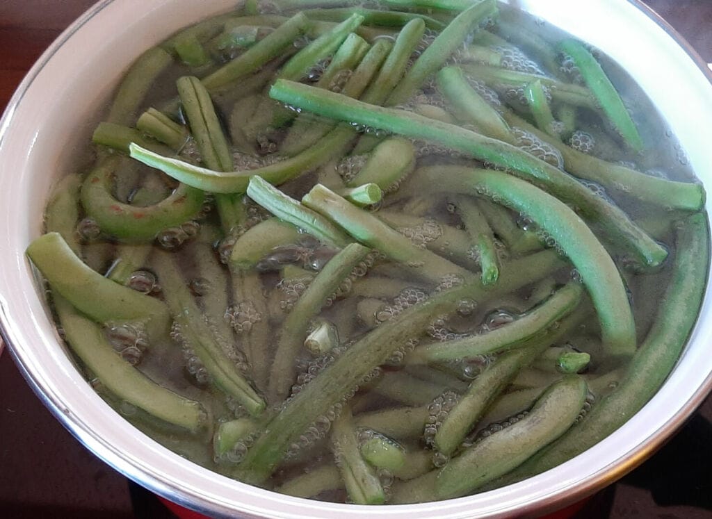 Comment congeler des haricots verts frais du jardin ? La bonne méthode