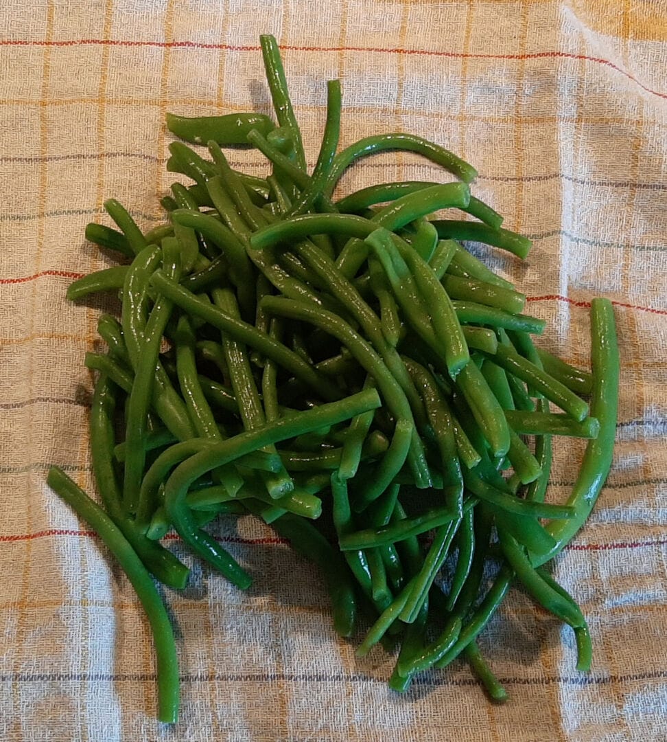 Comment congeler des haricots verts frais du jardin ? La bonne méthode
