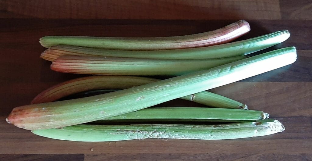 Comment conserver et congeler de la rhubarbe fraîche du jardin