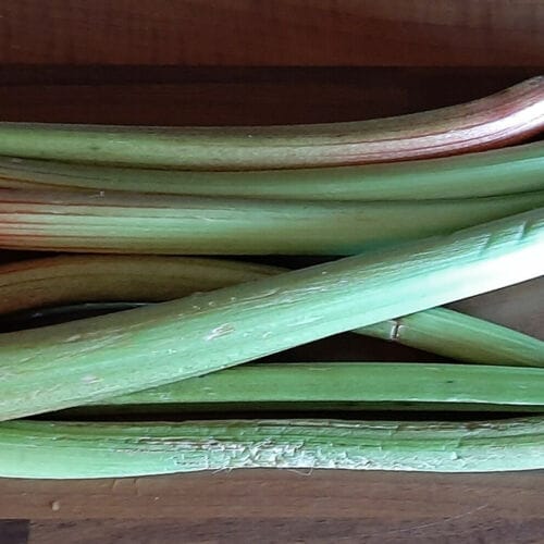 Comment conserver et congeler de la rhubarbe fraîche du jardin