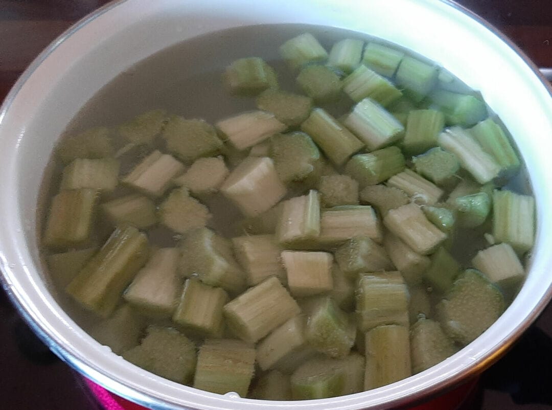 Comment conserver et congeler de la rhubarbe fraîche du jardin