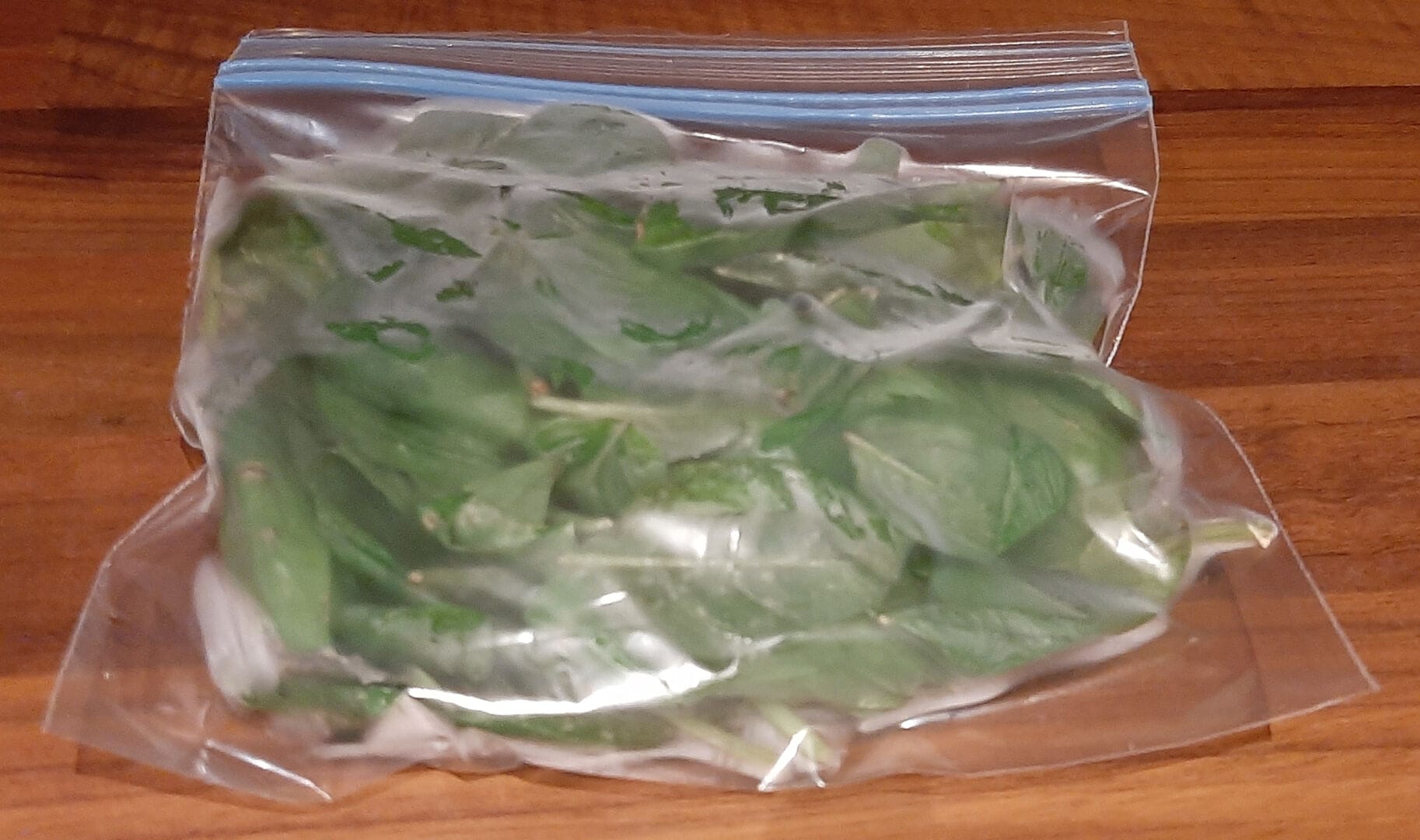 Comment congeler du basilic frais du jardin ? La bonne méthode !-image