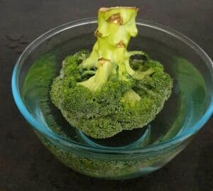 Papillote saumon et brocolis