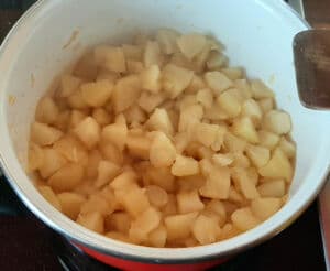 Pomme gala en compote