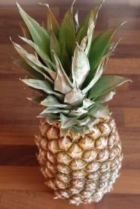 Coupe ananas en rondelles