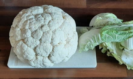 Cuisson chou-fleur cocotte minute. Une recette qui demande peu de temps