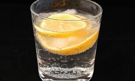 Les secrets d’un Gin Tonic parfait : astuces et ingrédients indispensables !