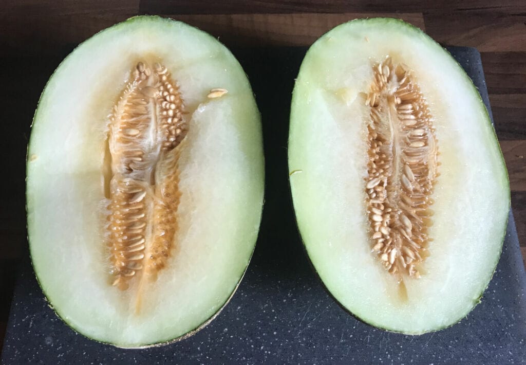 Melon vert d'Espagne. Une recette de smoothie vitaminé et peu calorique