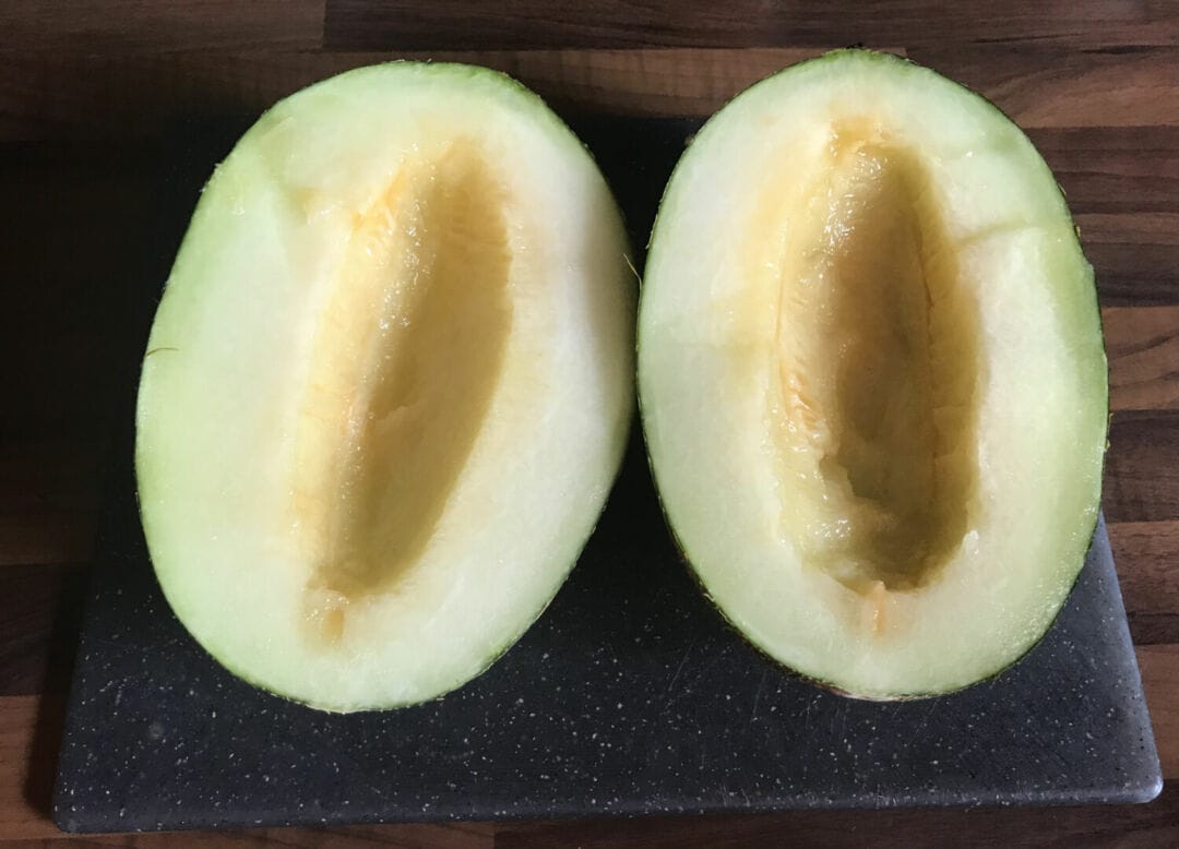 Melon vert d'Espagne. Une recette de smoothie vitaminé et peu calorique