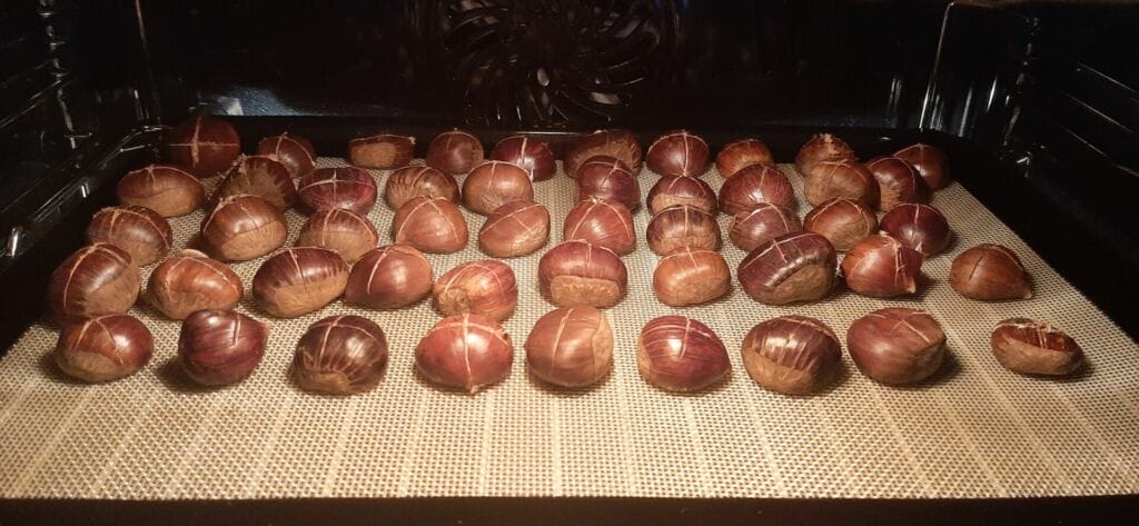 Rôtisseuse Châtaignes Professionnelle Grille à Châtaignes Rotative Professionnelle - Cuisinière à Gaz 1-2 Kg - Inox Matériel Snack Rôtissage