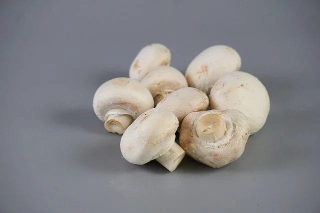 Champignon