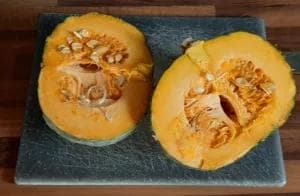 Courge potimarron vert