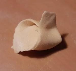 Cappellacci di zucca