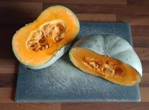 Courge bleue de Hongrie
