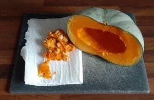 Courge bleue de Hongrie