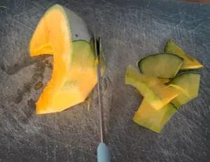 Courge bleue de Hongrie