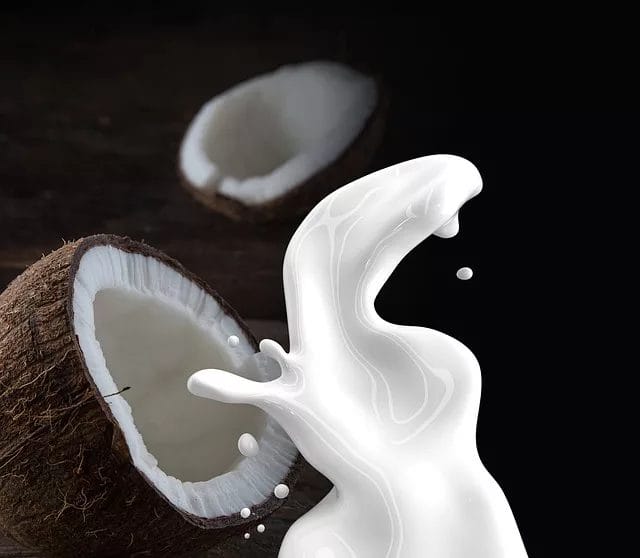 Lait de coco