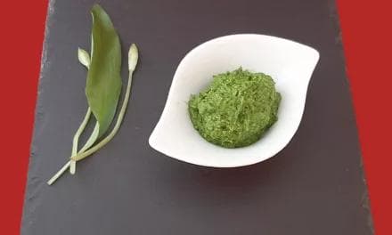 Pesto à l’ail des ours. Une recette facile pour relever vos plats !