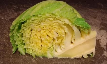 Comment blanchir un chou vert ? Voici ma recette facile et rapide !