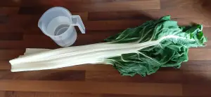 Cuisson des côtes de blettes à la vapeur. Une recette rapide