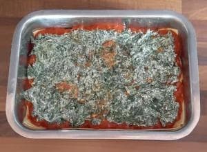 Lasagnes ricotta épinards