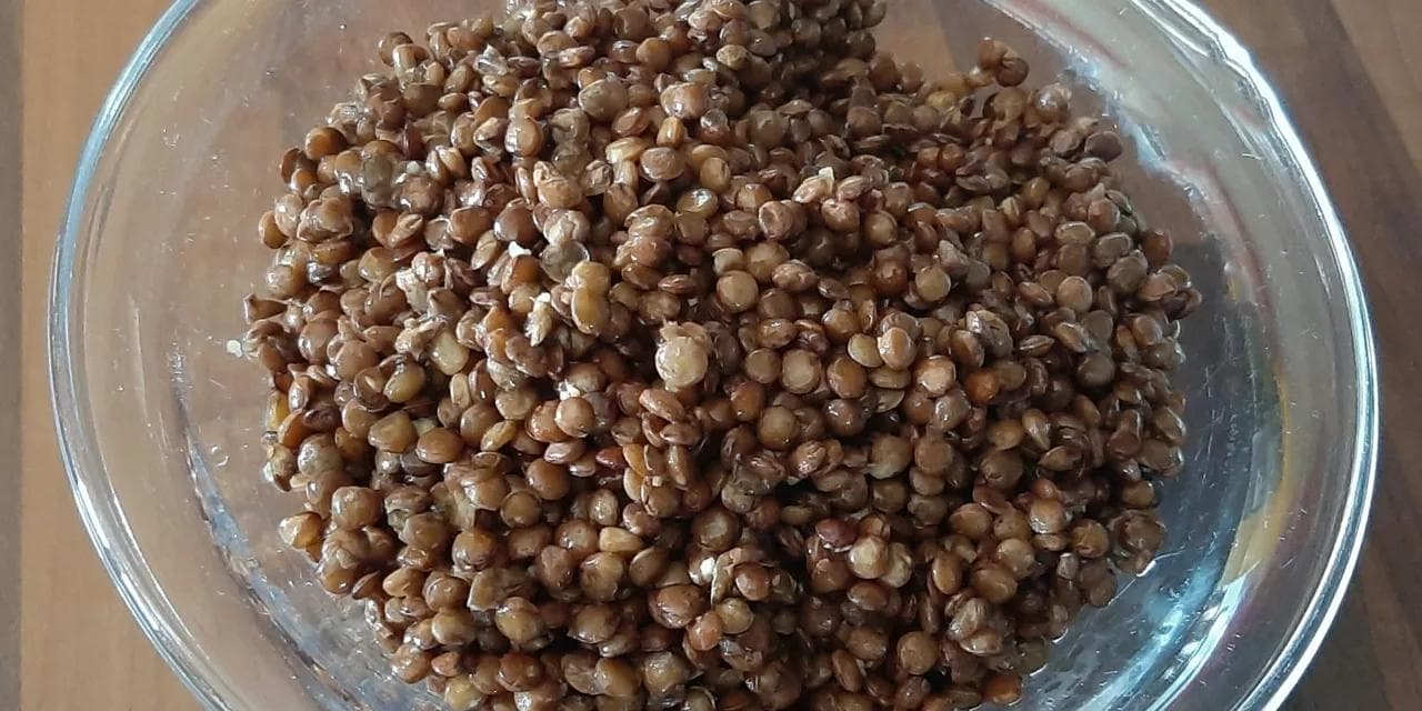 Maîtrisez la cuisson parfaite des lentilles vertes : conseils et astuces !