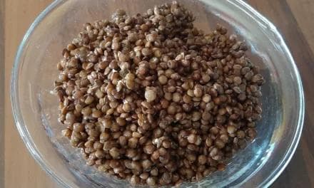 Maîtrisez la cuisson parfaite des lentilles vertes : conseils et astuces !