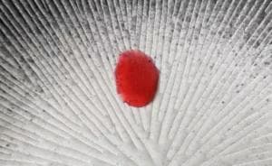 Gelée de groseilles