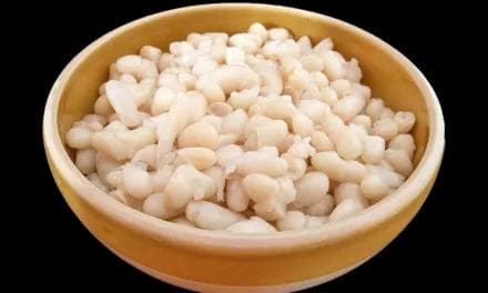 La Cuisson Parfaite des Haricots Blancs Secs : Conseils et Astuces