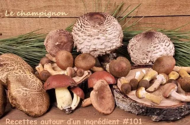 Ingrédient champignon