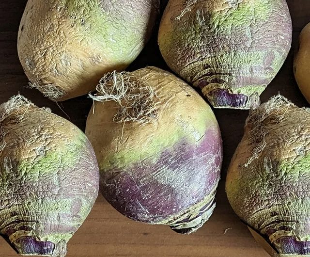rutabaga